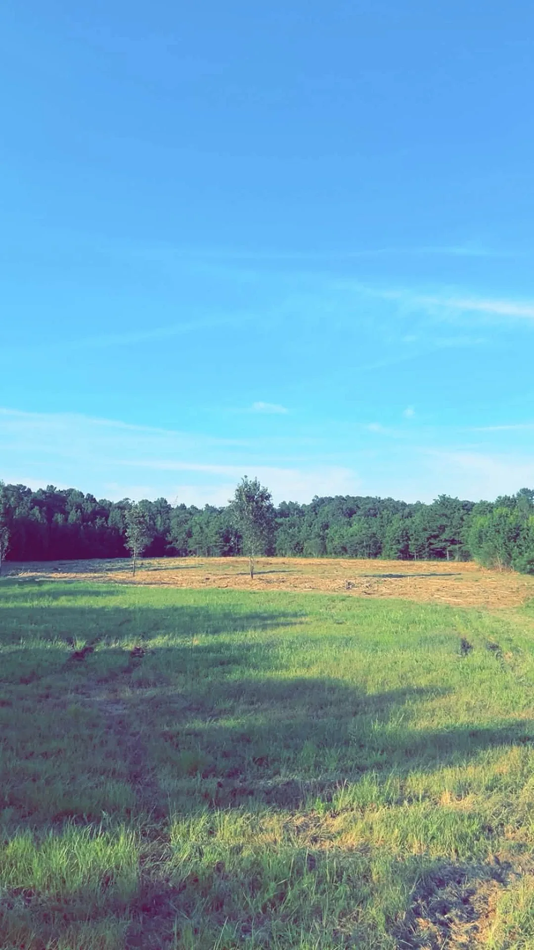 Freshly cleared and graded field along a Dickson County, Tennessee tree line